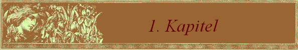 1. Kapitel                 