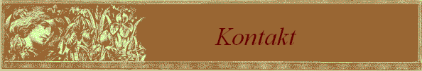 Kontakt                   